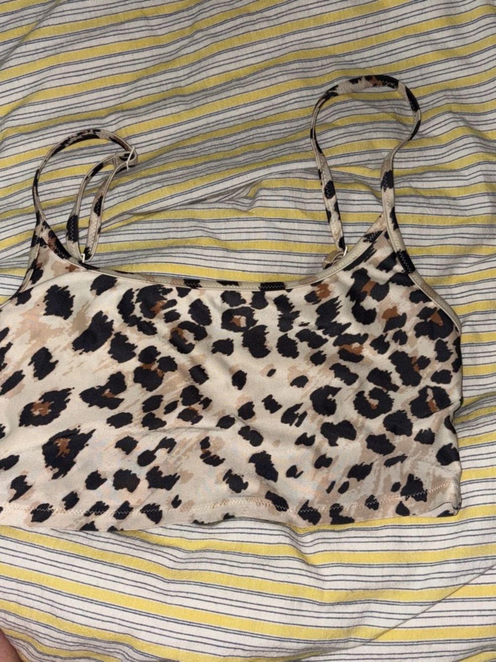 Aerie Leopard Print Swimsuit Top